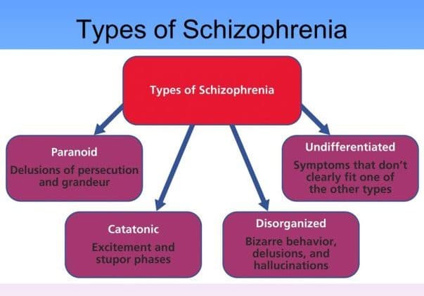 schizophrenia case study class 12