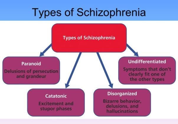 psychology case study project class 12