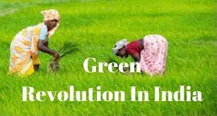 project on green revolution for 12th evs project pdf. Project report on green revolution is included.
