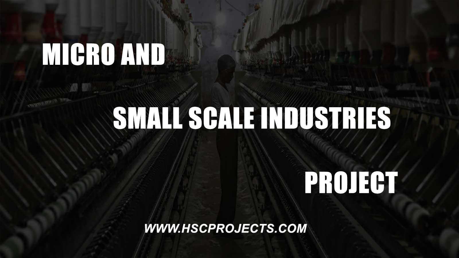 Introduction of micro and small scale industries