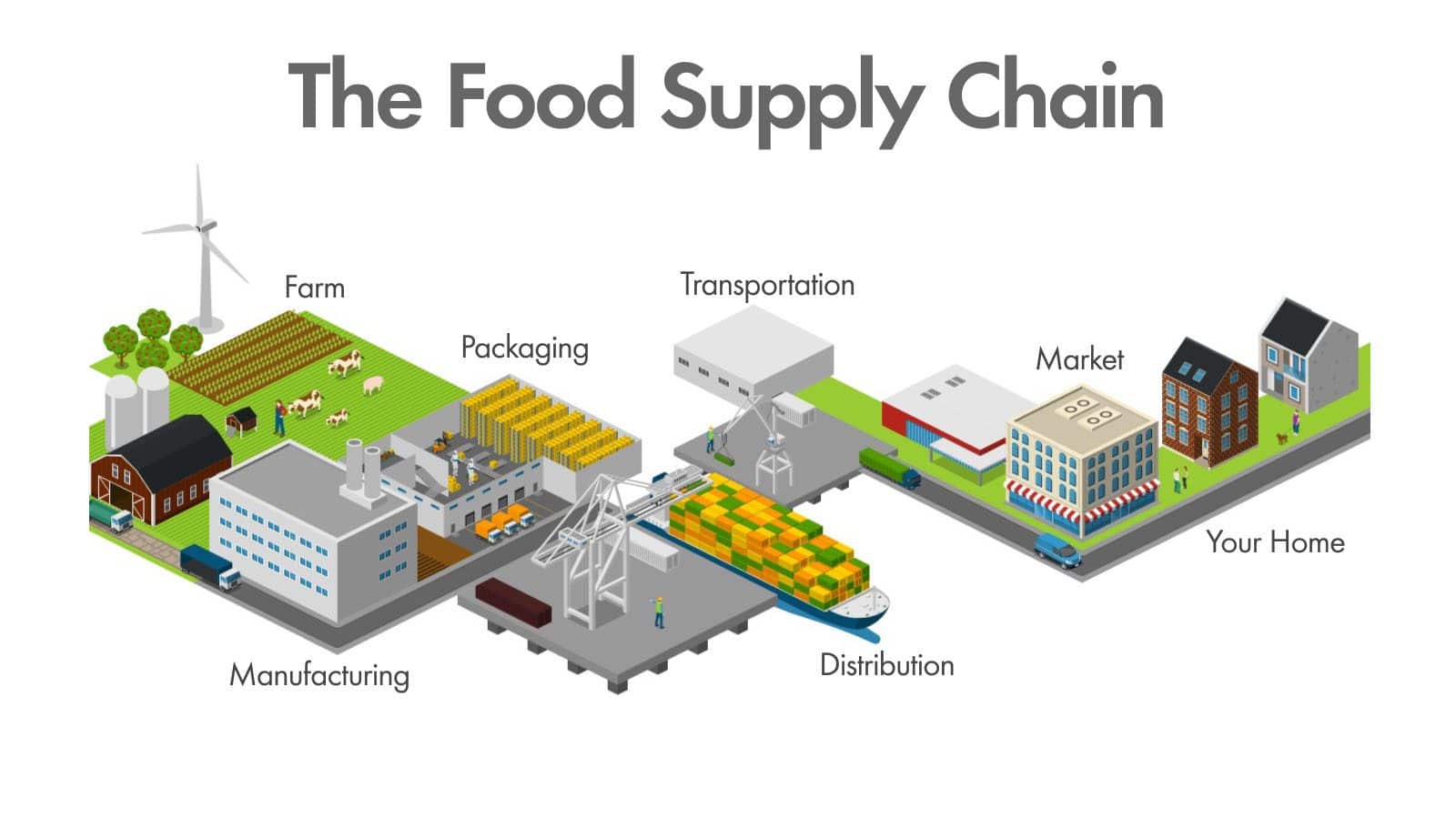 case study on food supply chain in india