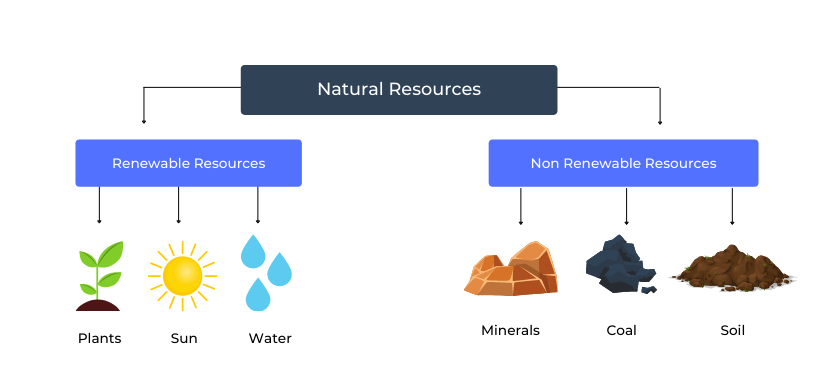assignment on natural resources class 9