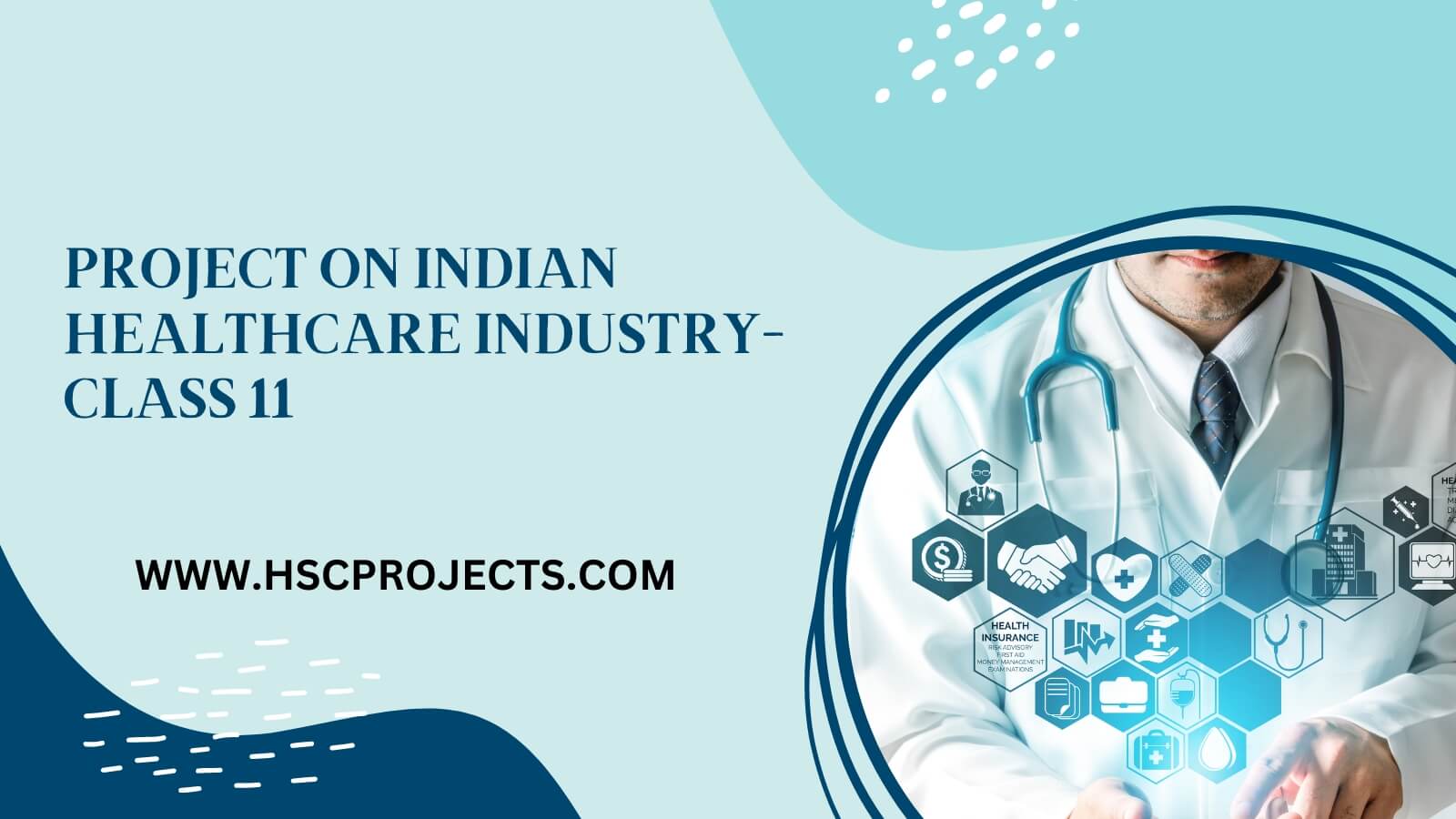 project-on-indian-healthcare-industry-class-11