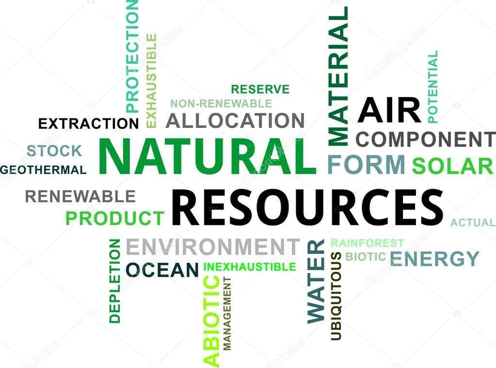 assignment on management of natural resources