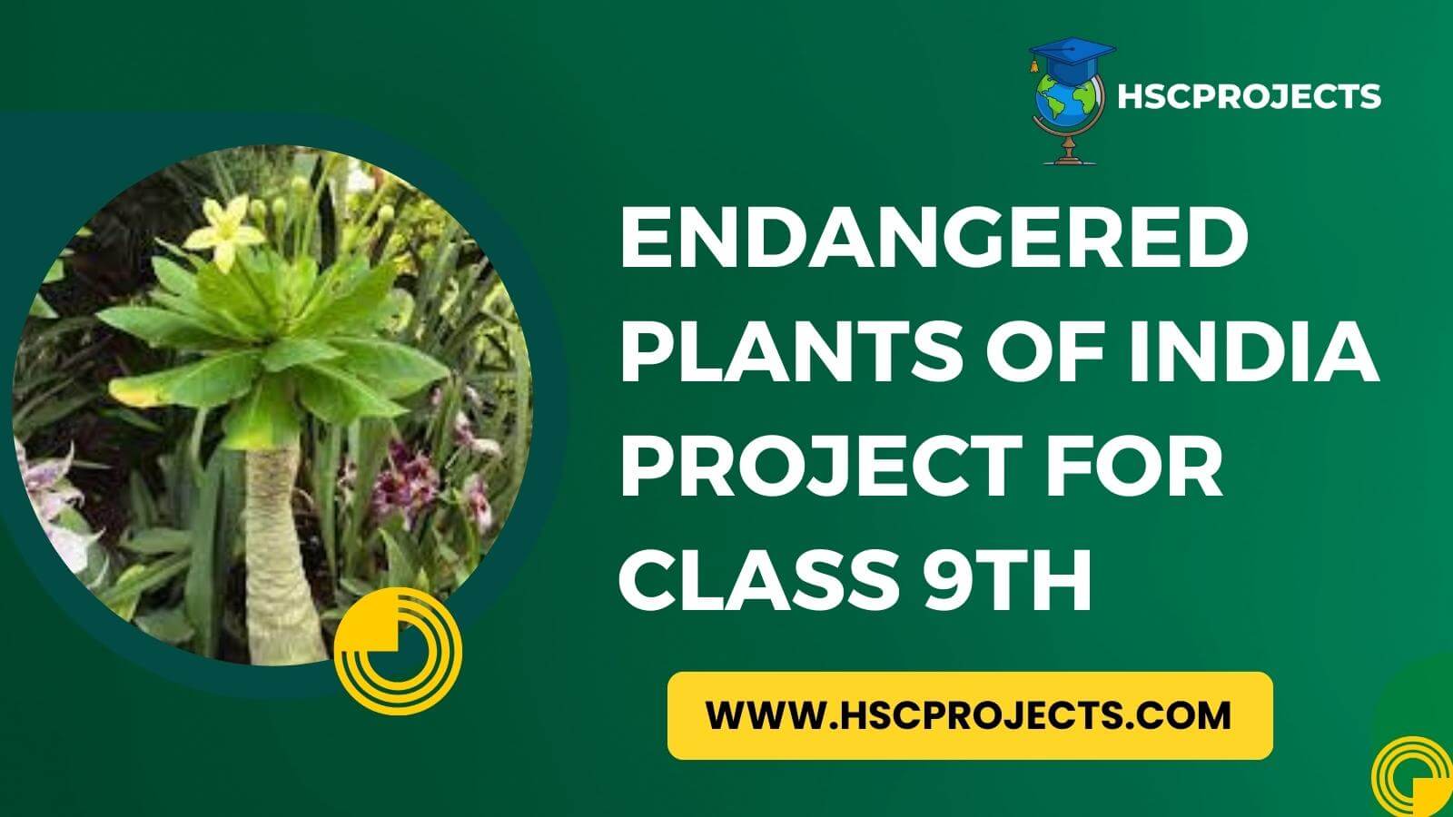 Indian Endangered Species Of Plants 194x259