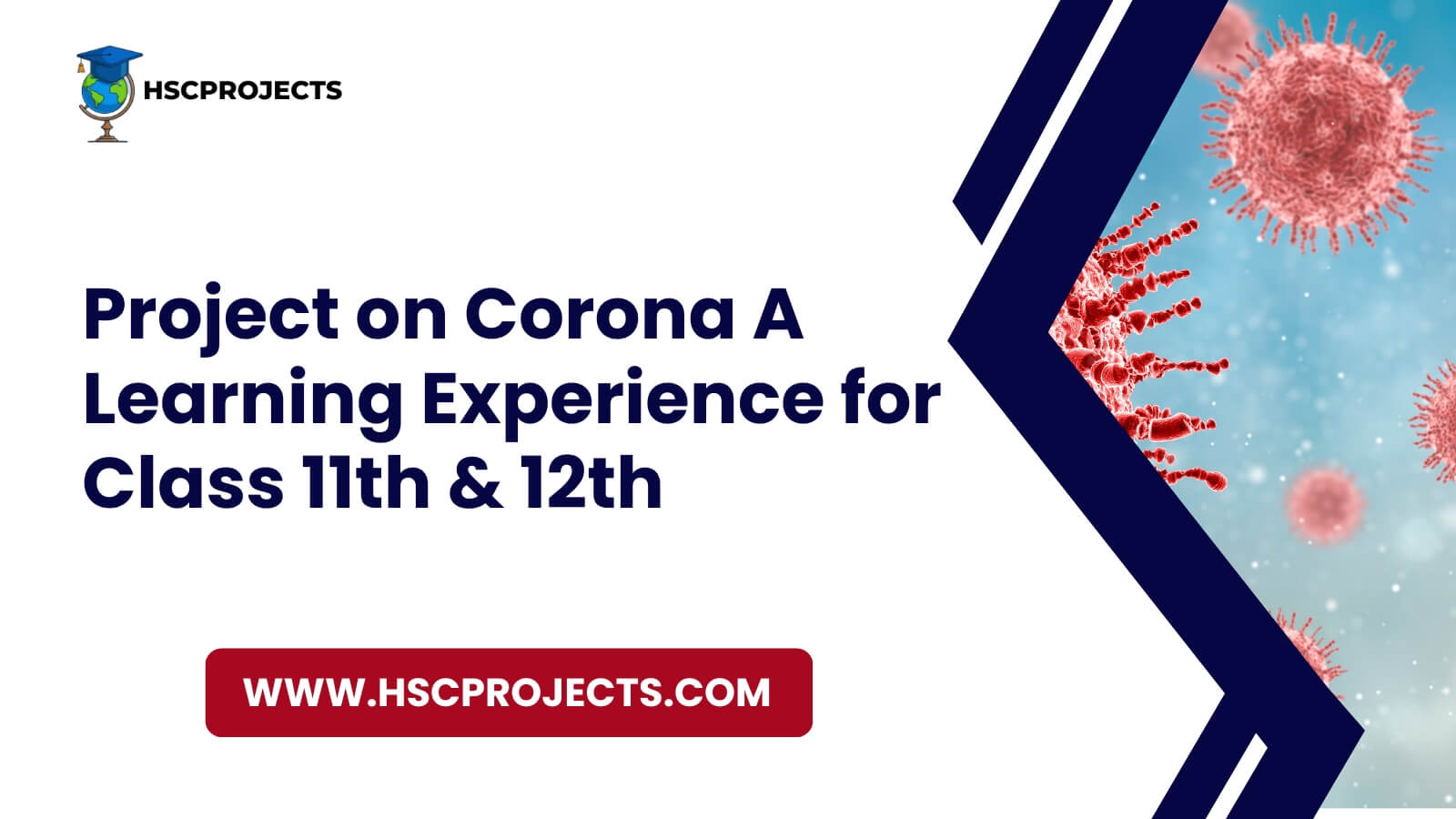 Project On Corona A Learning Experience For Class 11th & 12th