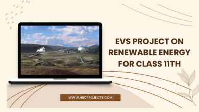 evs project on environmental education