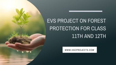 evs project on environmental education
